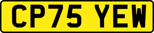 CP75YEW