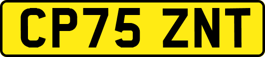 CP75ZNT