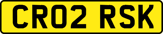 CR02RSK