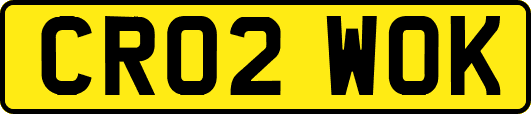 CR02WOK