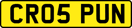 CR05PUN
