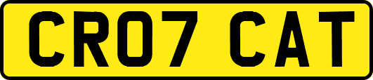 CR07CAT