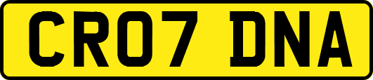 CR07DNA
