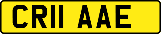 CR11AAE