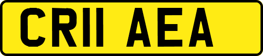 CR11AEA