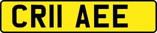 CR11AEE