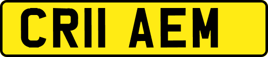 CR11AEM