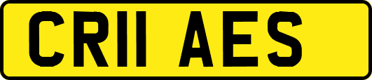 CR11AES