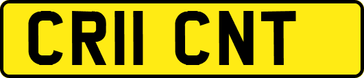 CR11CNT