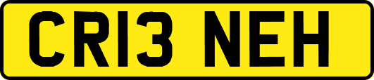 CR13NEH