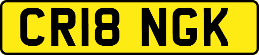 CR18NGK