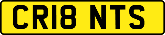 CR18NTS