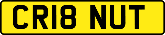 CR18NUT