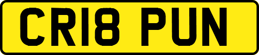 CR18PUN