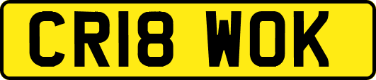 CR18WOK