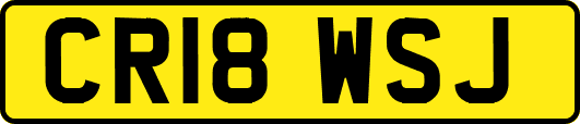CR18WSJ
