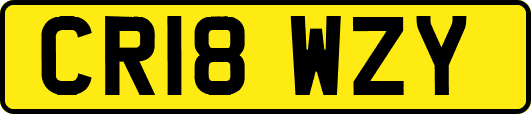 CR18WZY