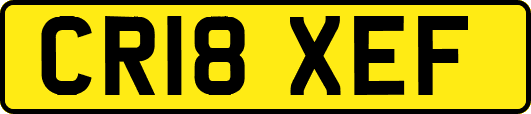 CR18XEF