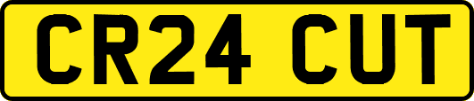 CR24CUT