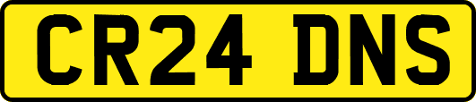 CR24DNS