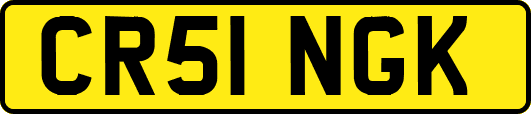 CR51NGK