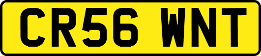 CR56WNT