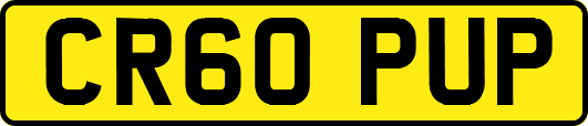 CR60PUP