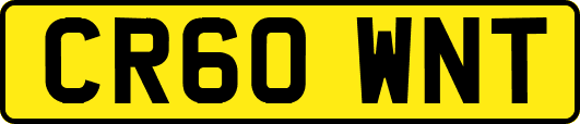 CR60WNT