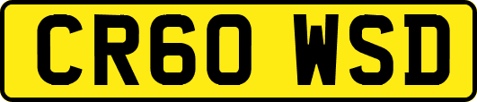 CR60WSD