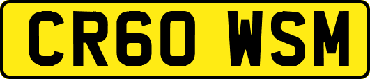 CR60WSM