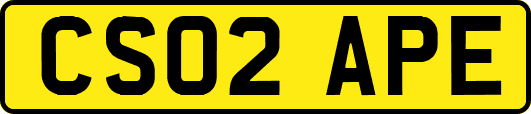 CS02APE