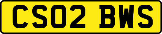 CS02BWS