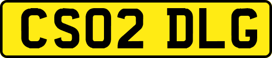 CS02DLG
