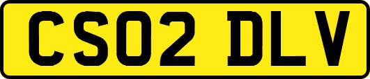 CS02DLV