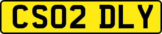 CS02DLY