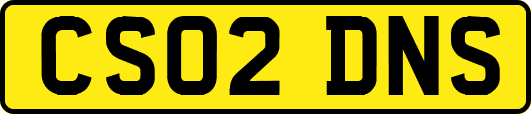 CS02DNS