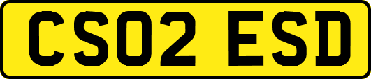 CS02ESD