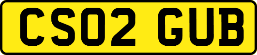 CS02GUB