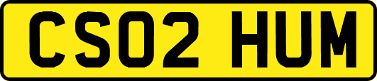 CS02HUM