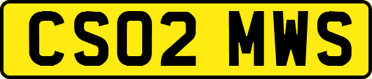 CS02MWS