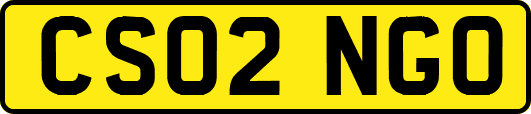 CS02NGO