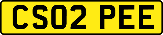 CS02PEE