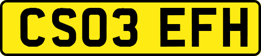 CS03EFH