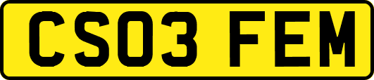 CS03FEM