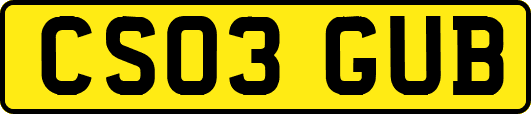 CS03GUB