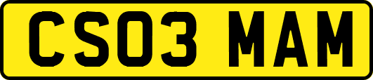 CS03MAM