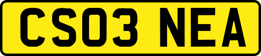 CS03NEA