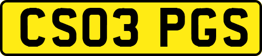 CS03PGS