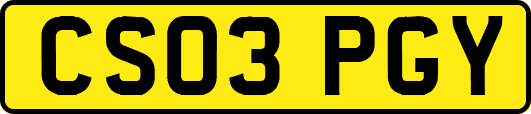 CS03PGY