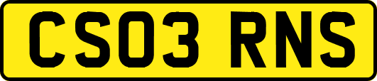 CS03RNS